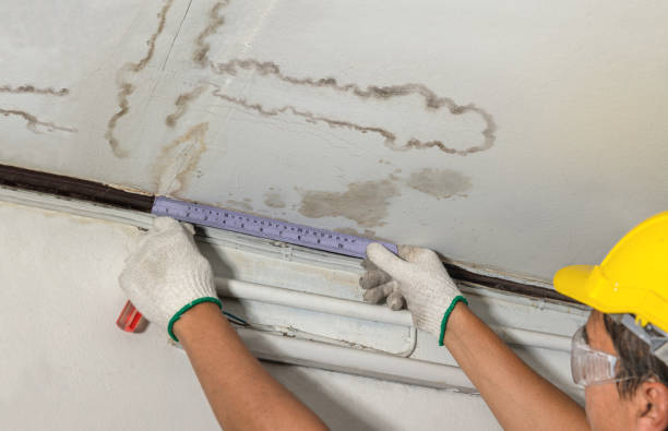 Reliable Water Damage contractor in Hillsboro, MO by Water Damage Irwin